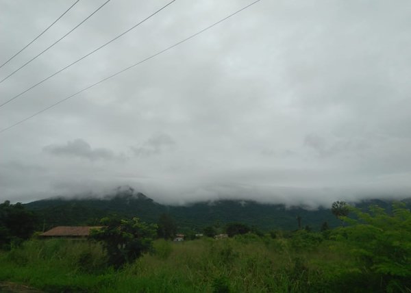 Chove em mais de 130 Municípios do Ceará entre Quinta (4) e Sexta-feira (5)